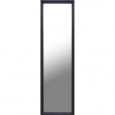 13.5X49.5 Espresso Door Mirror, single piece