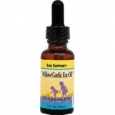 Herbs For Kids Willow and Garlic Ear Oil Drops 1 fl oz