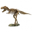 Elenco T-Rex Skeleton Kit