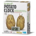 4M Green Science Potato Clock