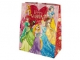 Disney Princesses Valentine's Day Gift Bag