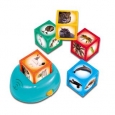 Smithsonian Kids Animal Cubes