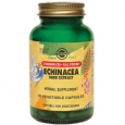Echinacea Herb Extract 60 Veggie Caps