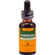Herb Pharm Echinacea Immune Support Alcohol Free 1 fl oz