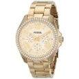 Fossil Women's AM4482 Cecile Stainless Steel Watch